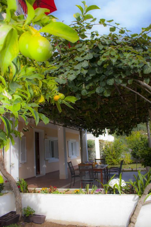Green Park Apartments دوبروفينك الغرفة الصورة